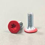 Customized Red Painted Torx Drive Screw Stainless Steel Star Head Wood Screws