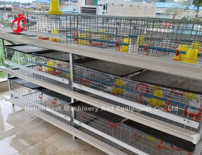 Day Old Chicks Battery Cage For Broilers 3 Or 4 Tier Galvanized Iris