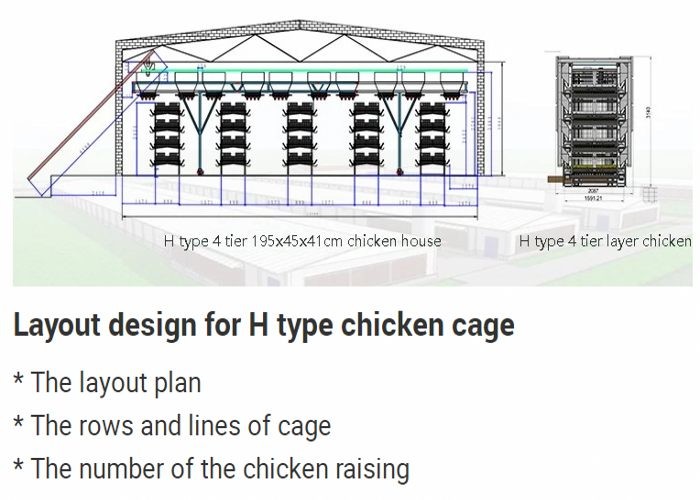 High Corrosion Resisten Automatic Chicken Cage Wire Poultry Cages Easy To Install