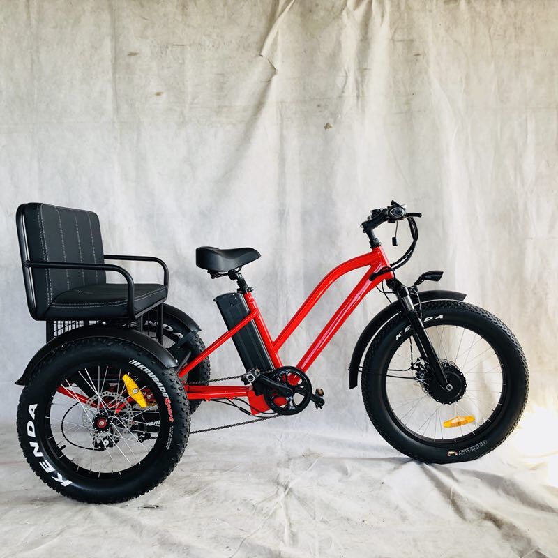 Bafang 750W Motor Electric Tricycle with Fat Tire E Three Wheels and Passenger Seat