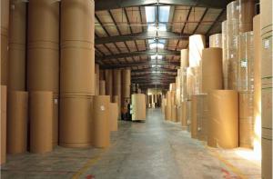 China Uncoated Recycled 280g 325g 350g Food Grade Kraft Paper Rolls wholesale