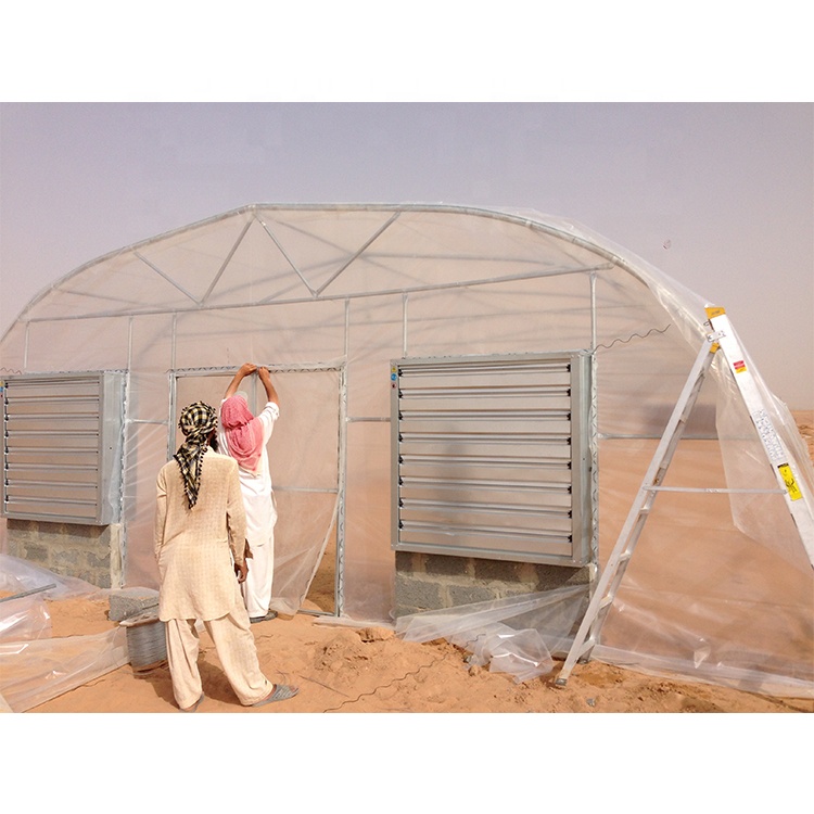 200 Micron Plastic Sheeting Greenhouse Customizable For Gulf Countries