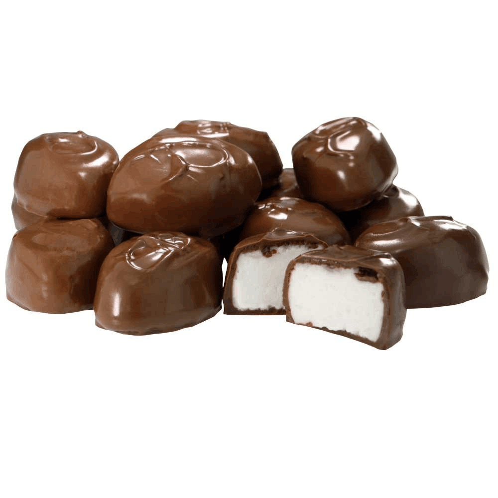 High Efficiency Chocolate Enrobing Machine Wafer Biscuit Cake Coating