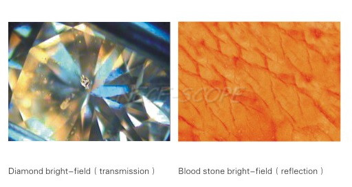 Digital Diamond Gem Stereo Microscope High Eyepoint WF15X / Φ16