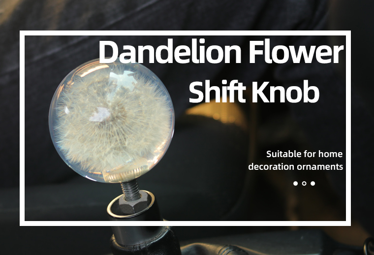 Custom circular gear Knob Embedded Universal Racing Crystal Ball Dandelion real Flower Shift Knob