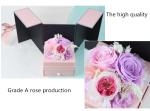 Colorful Perfect Valentines Day Gifts Preserved Everlasting Real Rose Flower