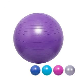 China ZH Purple 45CM Inner Thigh Workout Yoga Ball 1600g Fitness Gear Stability wholesale