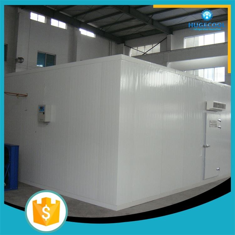 Explosion Proof Freezer Cold Room -45-20 Centigrade Temperature