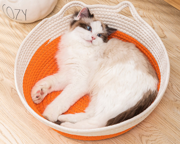 cat basket bed