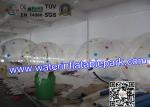 Adults Giant Inflatable Human Water Bubble Ball Rental CE / UL / ROHS