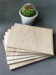 Martial Arts Boards 225x300mm Paulownia Breaking Wood Board within 3-30MM