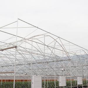 China Galvanized Steel Frame PE Plastic Film Greenhouse For Agriculture Low Cost Tunnel wholesale