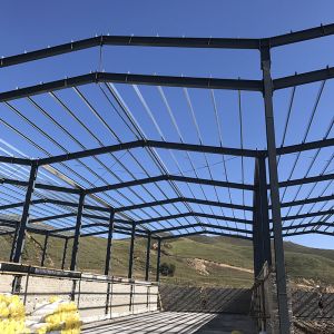 International Standard Steel Structure Commercial Building Short Construction