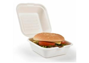 China 6&quot; Square 20g 100% Compostable Biodegradable Take Out Boxes wholesale