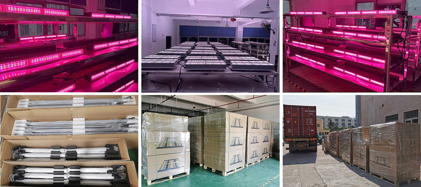 640W LED Toplighting Grow Light High Value High Efficacy Greenhouse Supplemental Lighting HPS Replacement