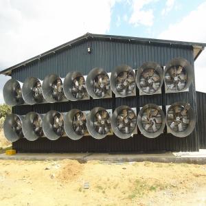 China 46000m3/H Chicken Farm Industrial Ventilation Fan 1270mm Poultry Control Shed System wholesale