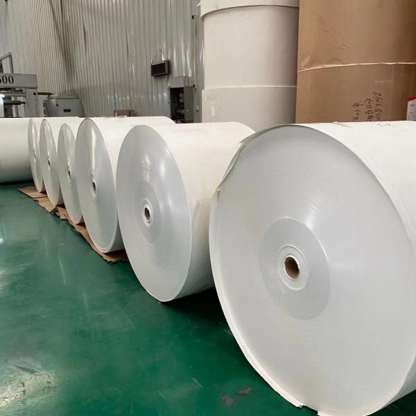 Quality 167gsm Double PE Coated Paper Roll Offset Printed Dia 1100mm for sale