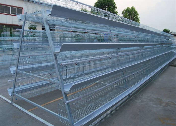 Welded Galvanized Egg Layer Chicken Cage Q235 For Farming