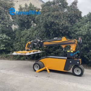 China Eternalwin Oem Glass Manipulator Equipment 1 Year Warranty wholesale