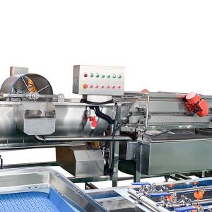 China Frozen Food 1000kg/H Fruit Vegetable Washing Machine wholesale