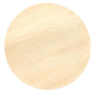 China 9 inch ODM Round Disposable Wood Plates Bulk Tableware For Barbecue Birthday wholesale