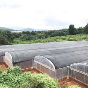 China Large Tunnel Plastic Film Single-span Agricultural Nursery Growing Greenhouse wholesale