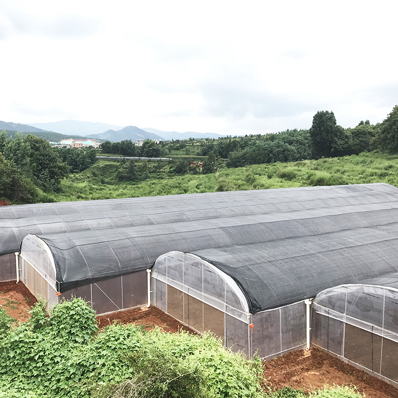 Poly Tunnel Plastic UV Resistant Film Tomato Herb Hydroponic Single Greenhouse