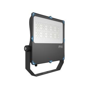 China 100W Outdoor LED Flood Lights Adjustable Mount 50w Led Floodlight For Gas Station wholesale