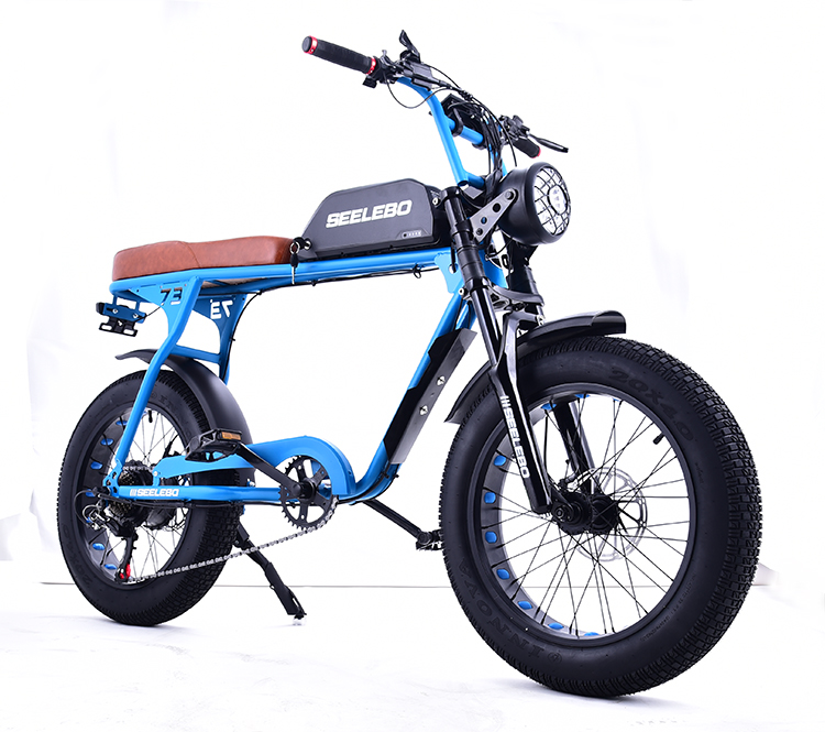 Digital Ebike Hub Motors Bicycle Electric Fat Tire Bike 7speed MTB E-bike Retro Electric Cycle 48V 500W 4.0 Inch Tire E Bike