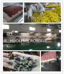 Microwave Flower Drying Equipment