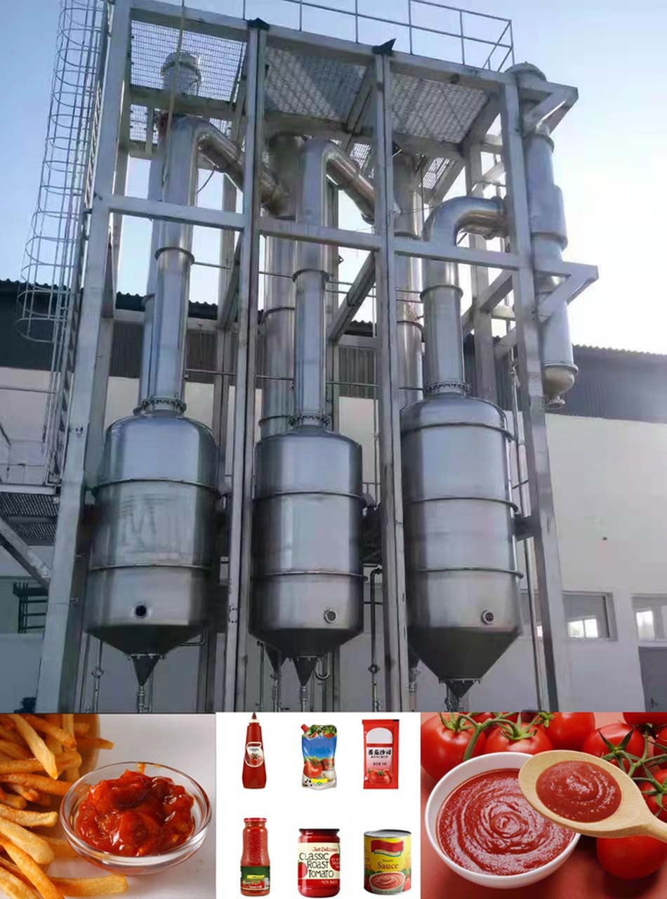 1T-1500T/D Tomato Paste Processing Line For Full Automatic And Tomato Sauce Production