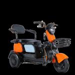 Adult Electric Tricycle Motorized Cargo Electric Bicycle Three Wheel Electric