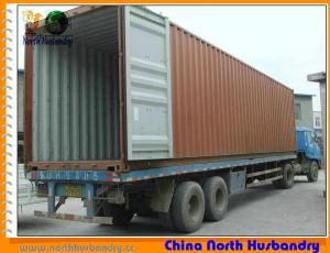 China Fan and Pad Greenhouse Evaporative Cooling Systems wholesale