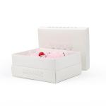 Exquisite Fashion FBB CCNB Decorative Gift Box Christmas Countdown