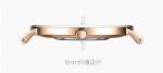 Mineral Crystal Rose Gold Minimalist Waterproof Watch Japan Movt Quartz Sr626sw