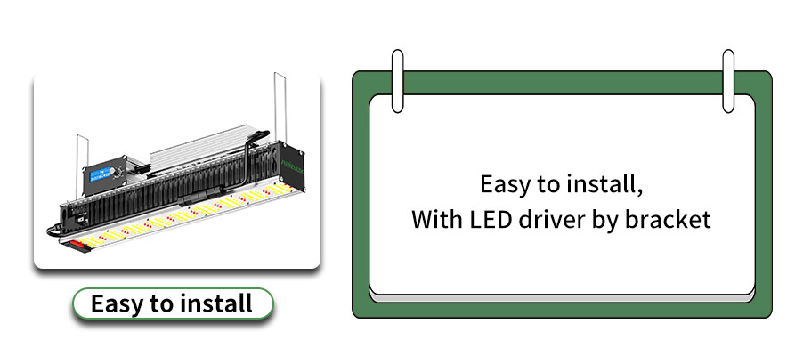 640W LED Toplighting Grow Light High Value High Efficacy Greenhouse Supplemental Lighting HPS Replacement