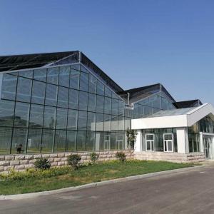 China 10x8 20 X 40 Big Span Venlo Multi Span Glass Greenhouse Growing Vegetable Show For Exhibition Hall wholesale