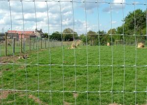 China Hot Dipped Galvanized Woven Wire Fence With Square Deal Knot Weather resistant wholesale
