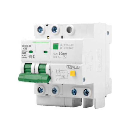 High Breaking MCB Current Operating Eletrionic SERIES RCBO 1P 2P Leakage Protector
