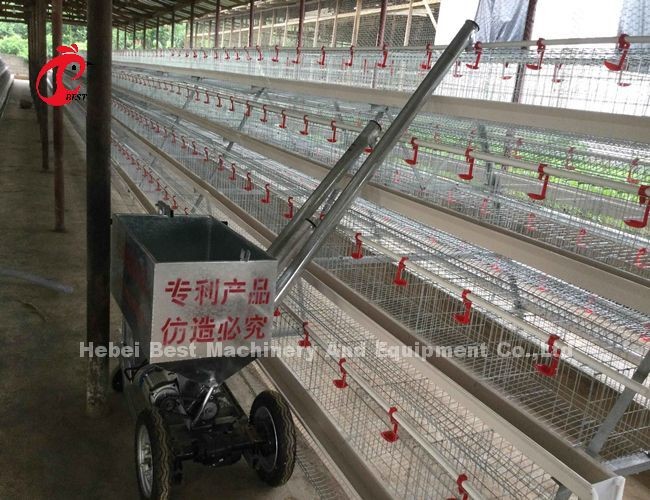 H Type Layer Battery Cage System With Poultry Equipment For 5000-20000 Birds Farm Iris