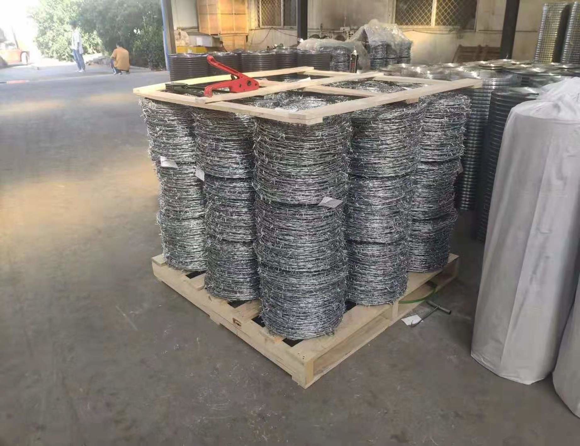 Snake Belly Razor Barbed Wire 500mm 10M Security Razor Wire Fencing