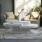 Simple Nordic Oval Coffee Table Synthetic FRP + Marble Material