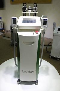 China cryolipolysis fat freeze slimming machine/cryolipoloysis slimming/cryolipolysis wholesale
