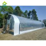 Customized Cannabis Light Dep Solutions Electric Film Roller Blackout Greenhouse