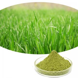 China Organic Herbal Extract Barley Grass Juice Powder 1kg/ Bag on sale