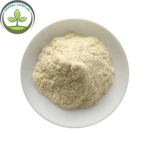 China China Supplier Frozen Apricot Fruit Powder In Bulk Stock wholesale