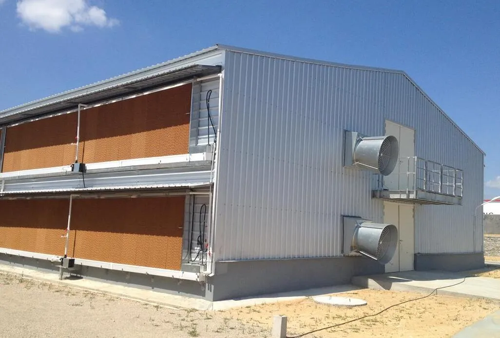 Metal Prefab Anticorrosion Light Steel Structure Poultry House