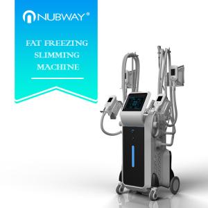 China Fat freezing Cryolipolysis machine for whole body fat reduce wholesale