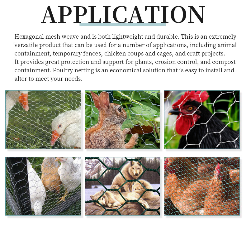 Anping stainless steel galvanized twisted hexagonal net guardrail farm breeding fence gabion highway guardrail
