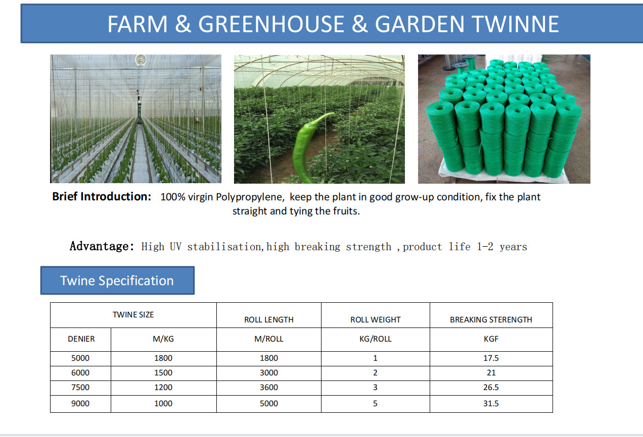 UV Stability Split Film White 5kg Spool Tomato Plant Twine for Plant Tying and Training Applications